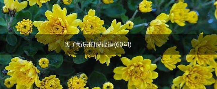 买了新房的祝福语(60句),第1张