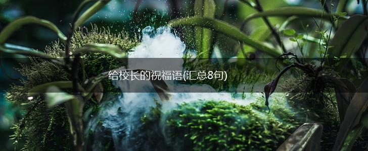 给校长的祝福语(汇总8句),第1张