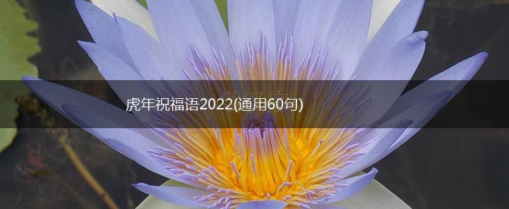 虎年祝福语2022(通用60句),第1张