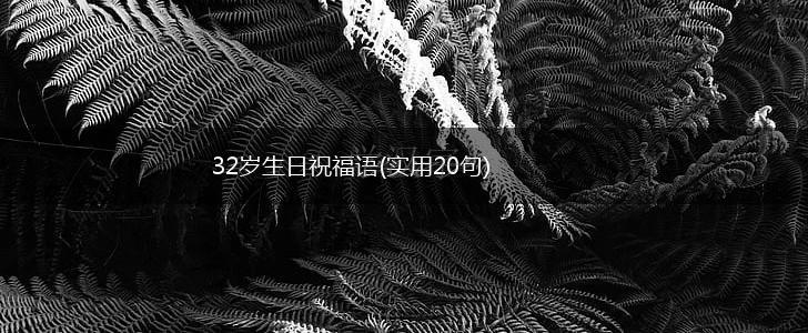 32岁生日祝福语(实用20句),第1张