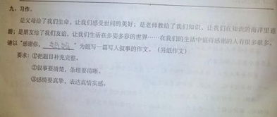 有关阅读的作文450字,有关分享的作文450字,和时间有关的作文450字