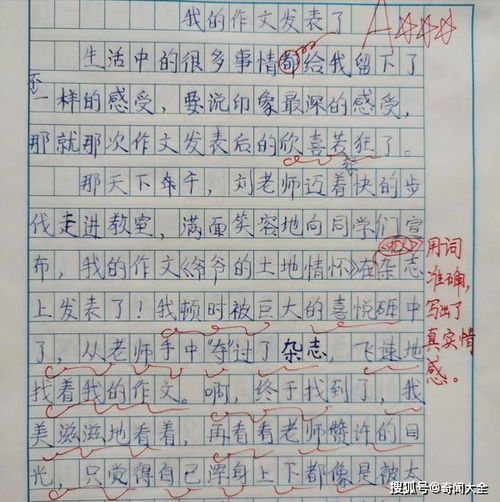 有关290字的作文