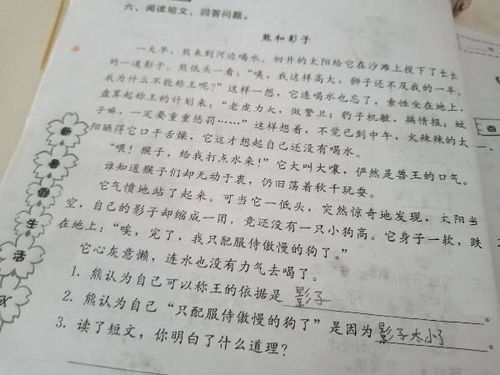 作文,影子