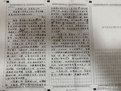 优秀作文,校园