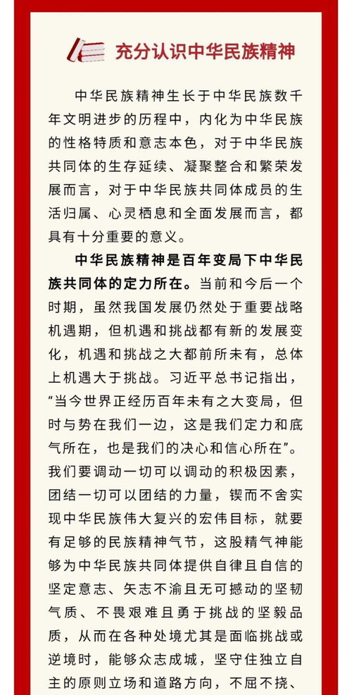 有关民族精神作文