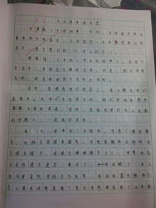 有关爱国的作文500