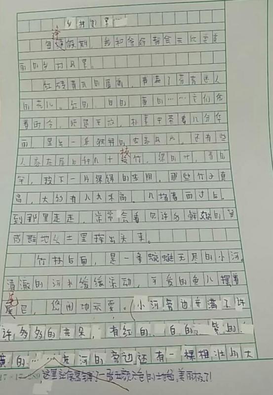 有关乡村风景作文大全