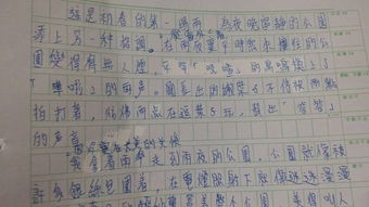 有关夜色的作文