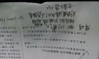 作文,目光,鼓励