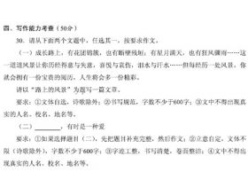 芒种有关的作文