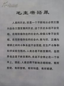 有关战争作文的评语